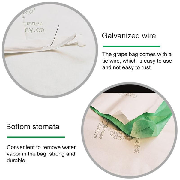 100pcs Waterproof Grape Packaging Bag Paper Bag Fruit Protective Bag, Specification:29x38, Random Color Delivery