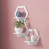 Round  Wall Hanging Shelf Flower Pot Multifunctional Storage Box Room Decoration