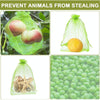 100pcs /Pack  Fruit Protection Bag Anti-Insect And Anti-Bird Net Bag 7 x 9cm(Gold)