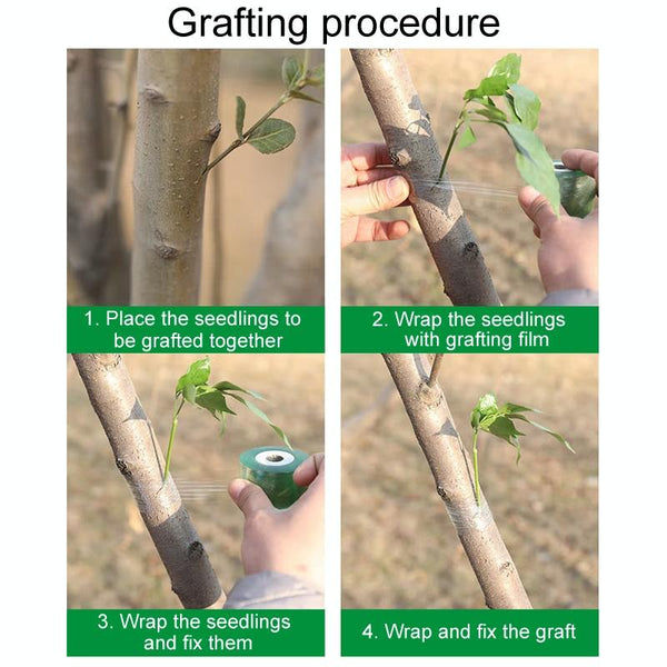2cm Garden Grafting Tape Fruit Tree Seedling Self-Adhesive Wrap