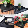 13pcs /Set Succulent Plant Gardening Tools Set Indoor Growing Removal Pots Horticultural Kits