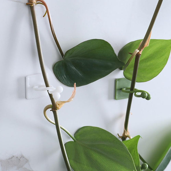 Small 50pcs Plant Climbing Wall Buckle Vine Traceless Plant Fixer Self-Adhesive Hooks(Green)