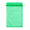 100pcs /Pack  Fruit Protection Bag Anti-Insect And Anti-Bird Net Bag 30 x 40cm(Dark Green)