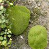 5pcs Simulation of False Moss Simulation of Bryophyte Stone Moss Flocking False Lawn Micro Landscape Decoration Accessories, Diameter: 6cm