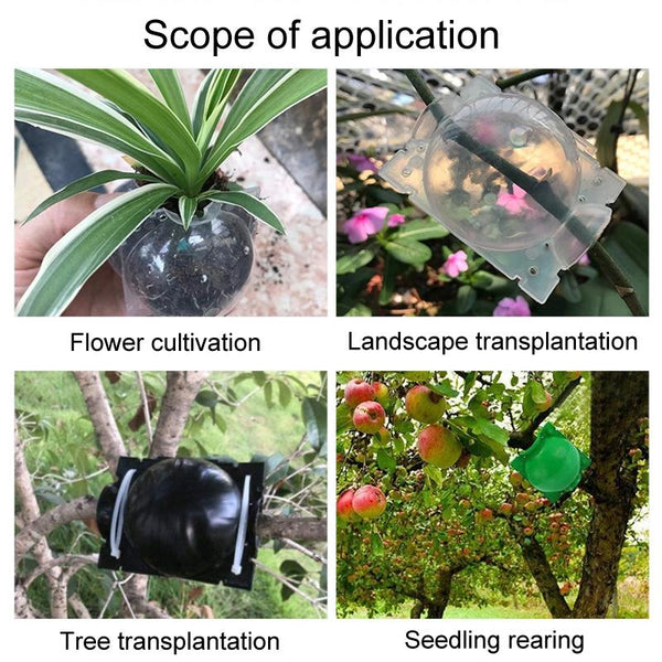 2pcs Plants Growth High Pressure Box Spherical Root Controller Grafting Root Cases, Model: L Black 120mm