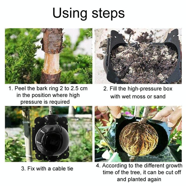 2pcs Plants Growth High Pressure Box Spherical Root Controller Grafting Root Cases, Model: L Green 120mm