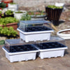 Seedling Tray Sprout Plate 12 Holes Nursery Pots Tray Lids Box For Gardening Bonsai Mini Greenhouse Nursery Plate(White)