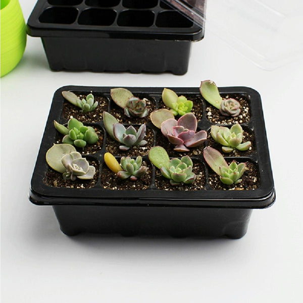 Seedling Tray Sprout Plate 12 Holes Nursery Pots Tray Lids Box For Gardening Bonsai Mini Greenhouse Nursery Plate(Black)