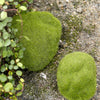 5pcs Simulation of False Moss Simulation of Bryophyte Stone Moss Flocking False Lawn Micro Landscape Decoration Accessories,Diameter: 8cm