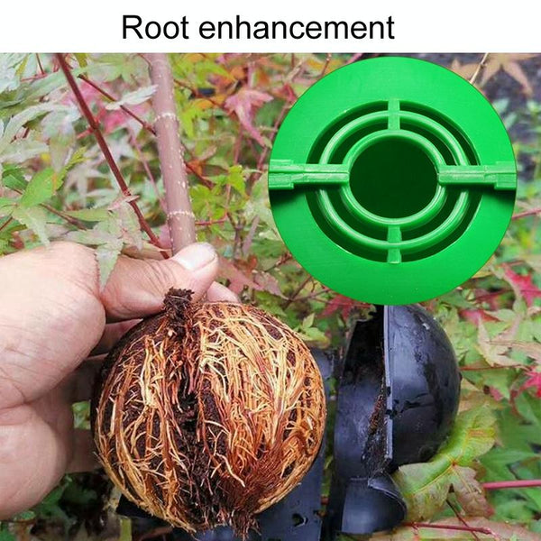 2pcs Plants Growth High Pressure Box Spherical Root Controller Grafting Root Cases, Model: L Green 120mm