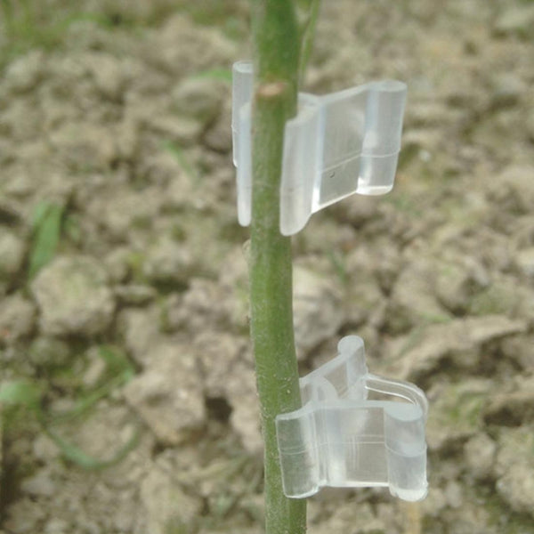 100 PCS Plant Grafting Gardening Plastic Grafting Folder Grafting Clip Transparent Gardening Plastic Grafting Clip Tomatoes Grafting Clips