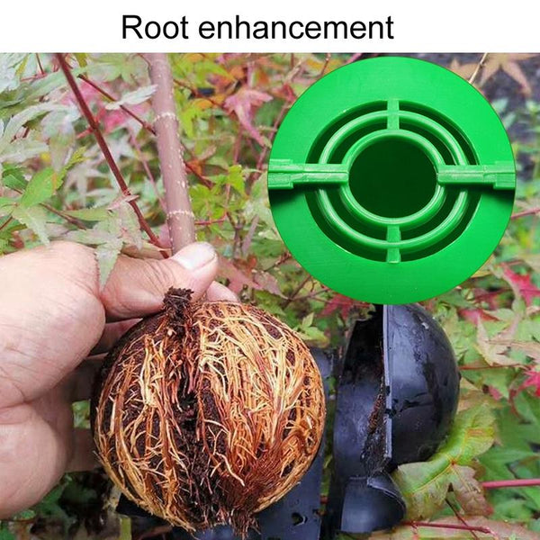 2pcs Plants Growth High Pressure Box Spherical Root Controller Grafting Root Cases, Model: L Black 120mm