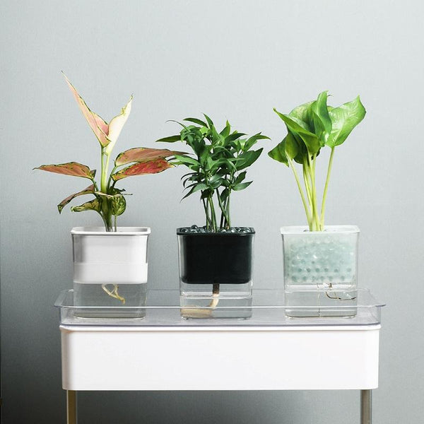 Hydroponic Transparent Visible Plastic Flower Pot, Size: 10x10x11.3cm(Translucent)