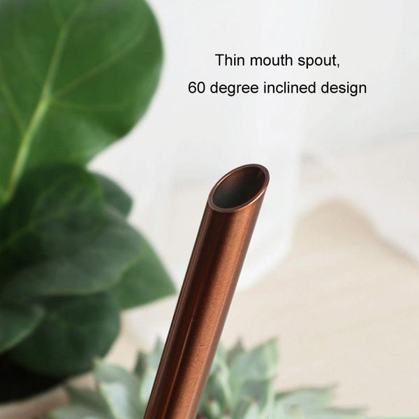 1500ML Household Gardening Stainless Steel Long Spout Heighten Watering Pot, Specification: Bronze