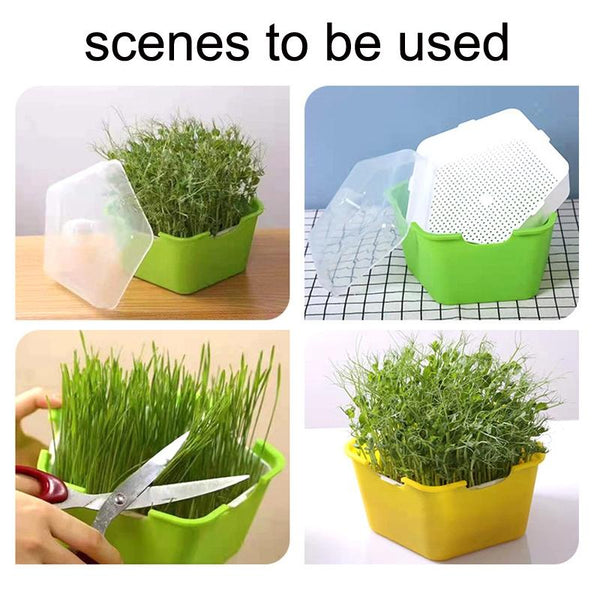 3 PCS Bean Sprout Germination Pot Soilless Culture Hydroponic Vegetable Seedling Tray(Green)