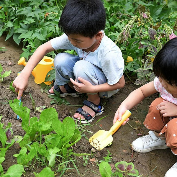 6pcs /Set Beach Seawater Tools Set Vegetable And Flowers Gardening Equipment