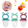 Baby Pacifier Fruit And Vegetable Auxiliary Feeder Baby Bites Feeder Nipples, Color: Large Purple