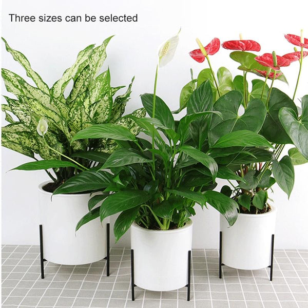 165mm PP Planter Flower Pot Automatic Water-absorbing Lazy Flower Pot, with Shelf