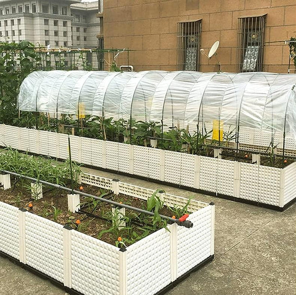 3 x 6m Transparent Plant Antifreeze Film Waterproof Cover Window Sealing Film Greenhouse PE Film