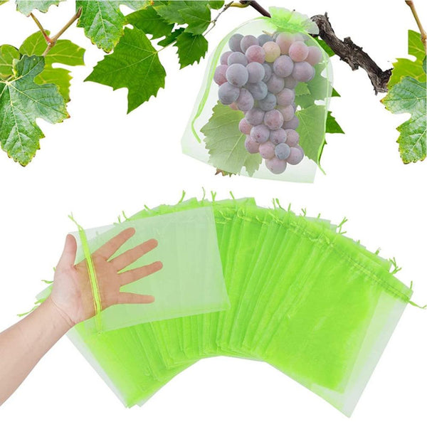 100pcs /Pack  Fruit Protection Bag Anti-Insect And Anti-Bird Net Bag 10 x 15cm(Red)