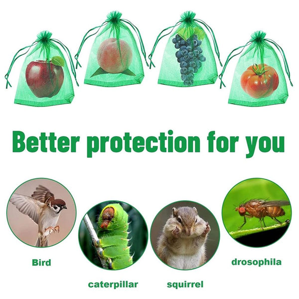 100pcs /Pack  Fruit Protection Bag Anti-Insect And Anti-Bird Net Bag 17 x 23cm(Black)