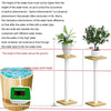 Household Intelligent Drip Irrigation Automatic Watering Timing Machine, Specification: Water 4 Potted Plants