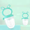 Baby Pacifier Fruit And Vegetable Auxiliary Feeder Baby Bites Feeder Nipples, Color: Large Green