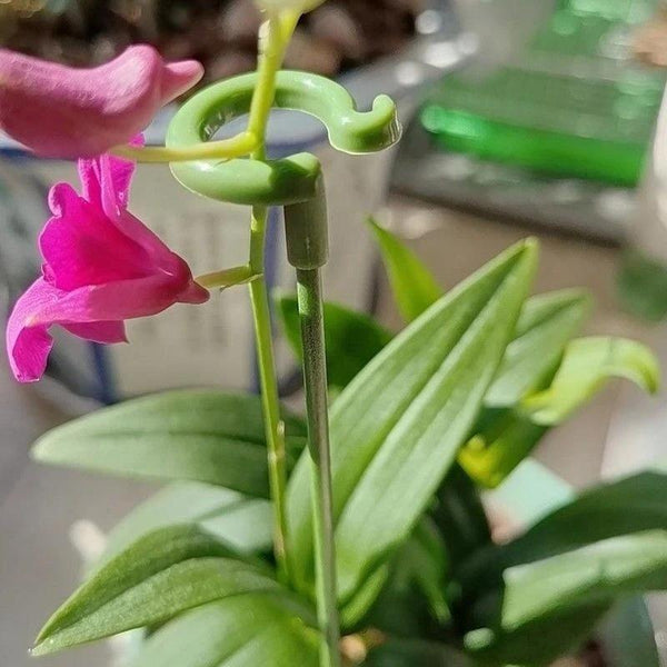 10pcs Plant Potted Flower Shape Support Rod Fixed Anti-lodging Leaf Guard Frame, Size:17cm