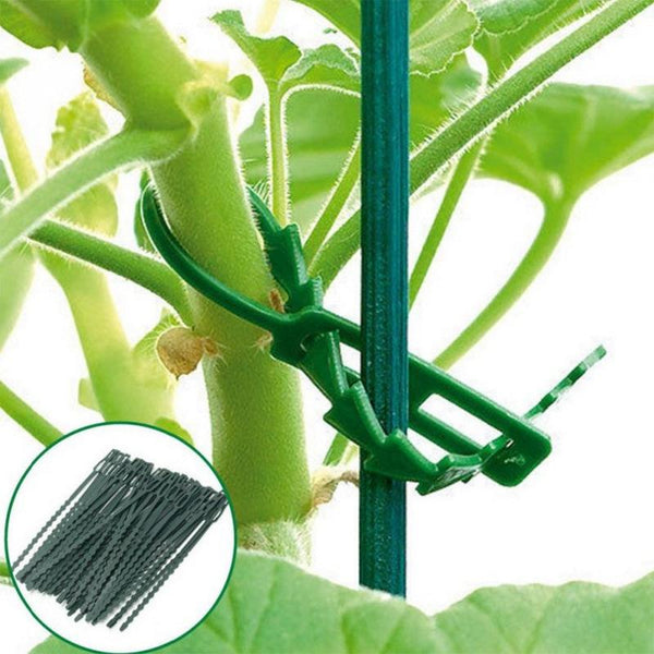 Multi-Purpose Garden Plants Fishbone Cable Ties, Length: 13cm/50pcs