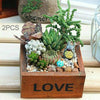 2PCS Plant Flower Flower Pot Flower Mini  Box,Random Color Delivery