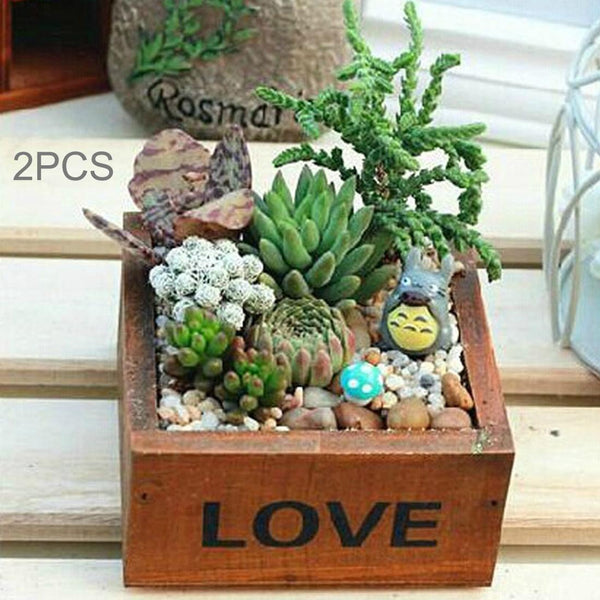 2PCS Plant Flower Flower Pot Flower Mini  Box,Random Color Delivery