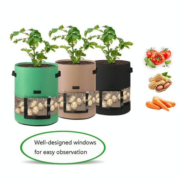 360 Degree Transparent Potato Bag In The Middle Covered Plant Growing Bag, Size: Large (35x45cm) 43 Liters/10 Gallons(Green)