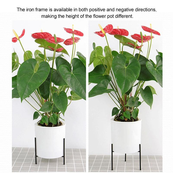165mm PP Planter Flower Pot Automatic Water-absorbing Lazy Flower Pot, with Shelf