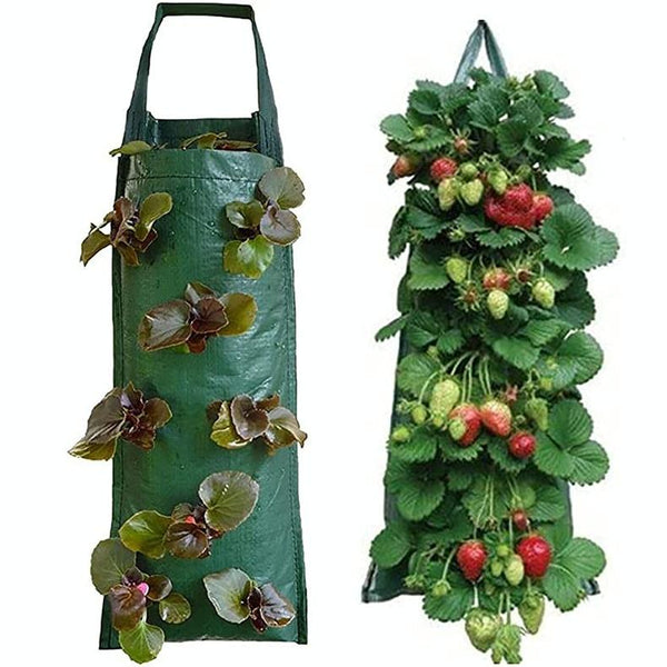Multi-Port Grow Bags For Plant Strawberry Potato Hanging Planting Pots, Size: 6 Port