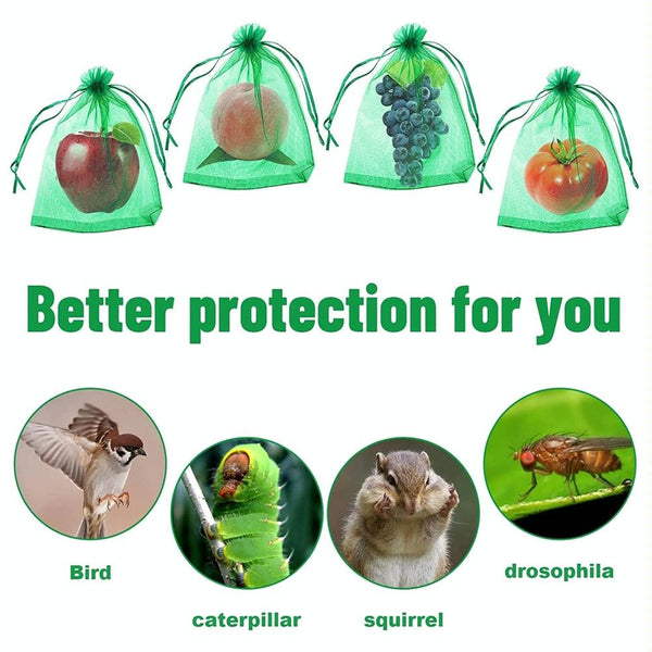 100pcs /Pack  Fruit Protection Bag Anti-Insect And Anti-Bird Net Bag 30 x 40cm(Green)