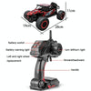 HELIWAY LR-R007 2.4G R/C System 1:16 Wireless Remote Control Drift Off-road Four-wheel Drive Toy Car(Red)
