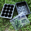 Seedling Tray Sprout Plate 12 Holes Nursery Pots Tray Lids Box For Gardening Bonsai Mini Greenhouse Nursery Plate(Black)