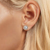 S925 Sterling Silver Plated With White Gold Shining Moissanite Earrings(MSE048)