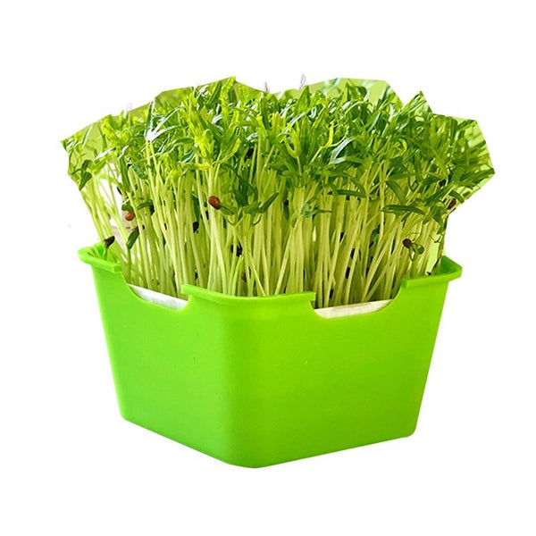 3 PCS Bean Sprout Germination Pot Soilless Culture Hydroponic Vegetable Seedling Tray(Green)