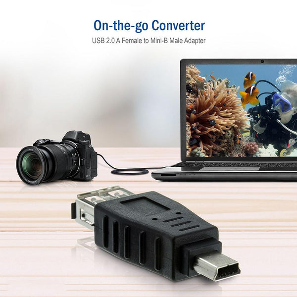 10 PCS USB Female to Mini USB Male Adapter(Black)