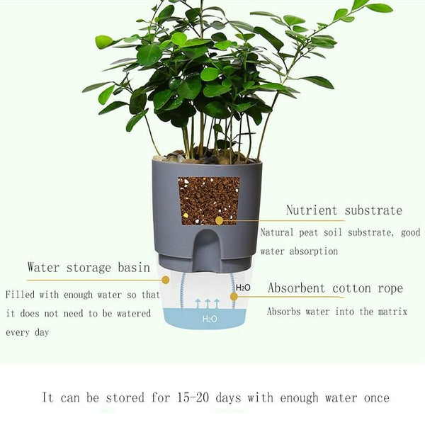 Transparent Plastic Double-Layer Water Storage Automatic Water-Absorbing Flowerpot, Size: A703 Caliber 8.2cm(White Transparent Basin)