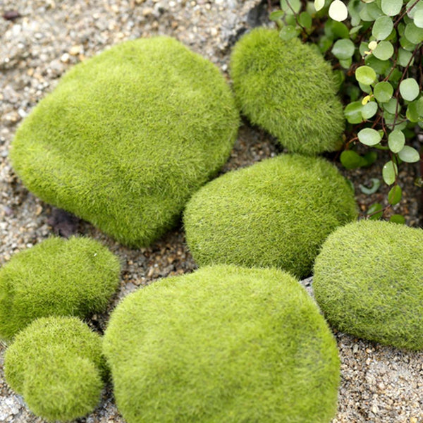 5pcs Simulation of False Moss Simulation of Bryophyte Stone Moss Flocking False Lawn Micro Landscape Decoration Accessories,Diameter: 8cm