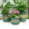 Flower Pots Plant Nursery Pots Plastic Pots Creative Gallons Pots with Tray,Size:15*22*18cm