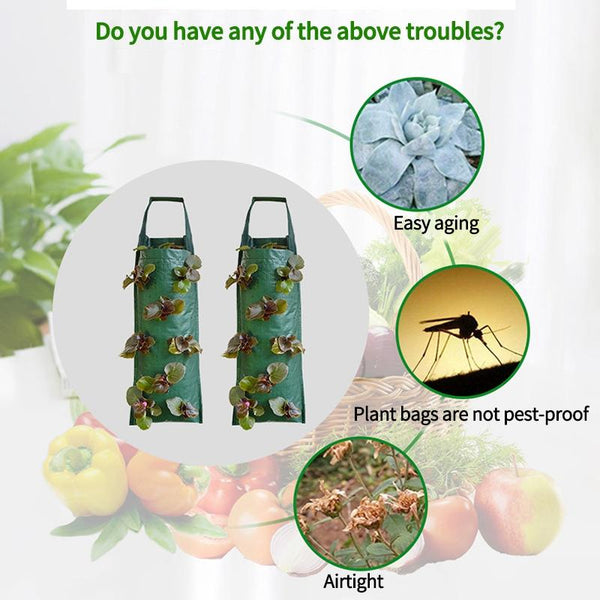 Multi-Port Grow Bags For Plant Strawberry Potato Hanging Planting Pots, Size: 4 Port