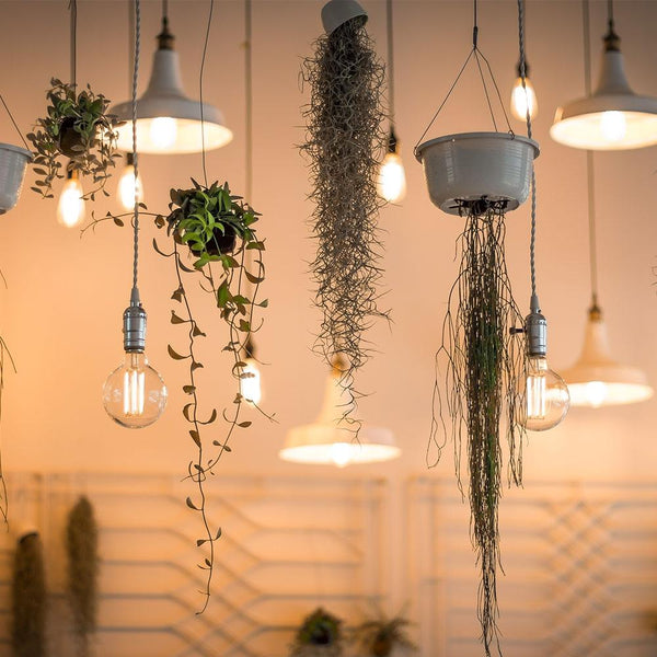 E27 40W Retro Edison Light Bulb Filament Vintage Ampoule Incandescent Bulb, AC 220V(T45 Filament)