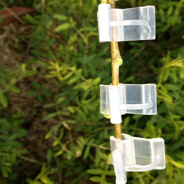 100 PCS Plant Grafting Gardening Plastic Grafting Folder Grafting Clip Transparent Gardening Plastic Grafting Clip Tomatoes Grafting Clips