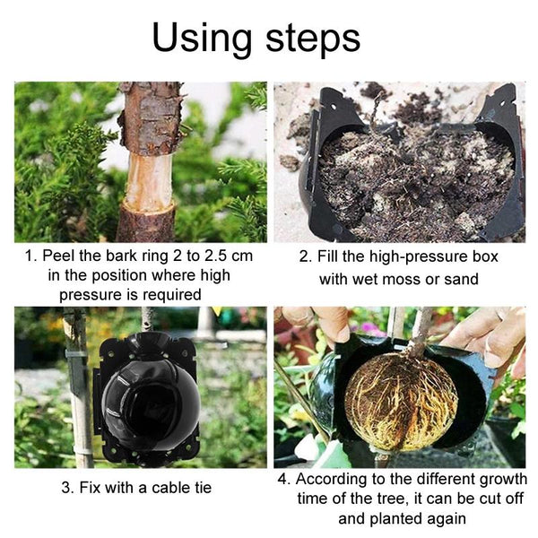 2pcs Plants Growth High Pressure Box Spherical Root Controller Grafting Root Cases, Model: M Green 80mm