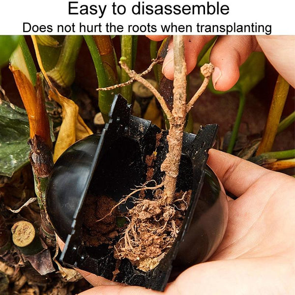2pcs Plants Growth High Pressure Box Spherical Root Controller Grafting Root Cases, Model: S Transparent 50mm