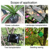 2pcs Plants Growth High Pressure Box Spherical Root Controller Grafting Root Cases, Model: M Black 80mm