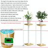 Household Intelligent Drip Irrigation Automatic Watering Timing Machine, Specification: Water 2 Potted Plants